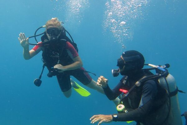 Discovery Scuba Dive Experience - Image 6