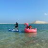 Water Bicycle - Image 8