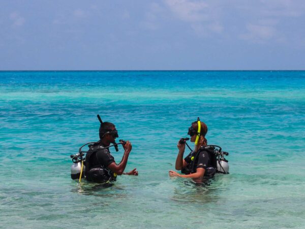 Discovery Scuba Dive Experience - Image 5
